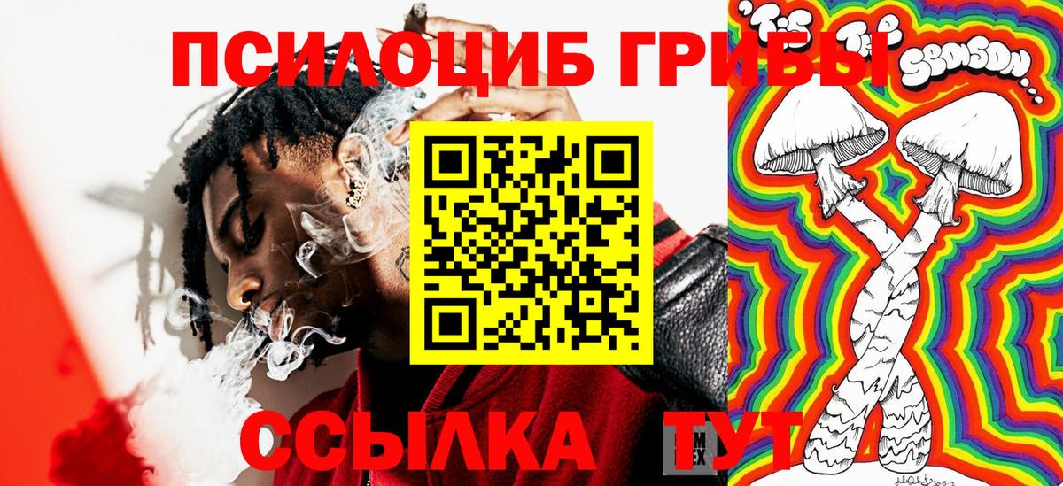 Галлюциногенные грибы мухоморы Елец