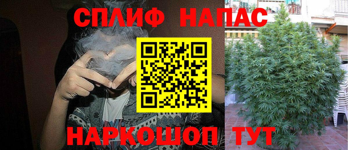 Канабис тримм  Вход с VPN  Елец  Конопля Amnesia 
